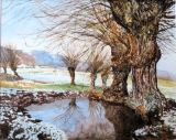 62 - Mary Vivian - Castlemorton Pond - Watercolour & Gesso.jpg